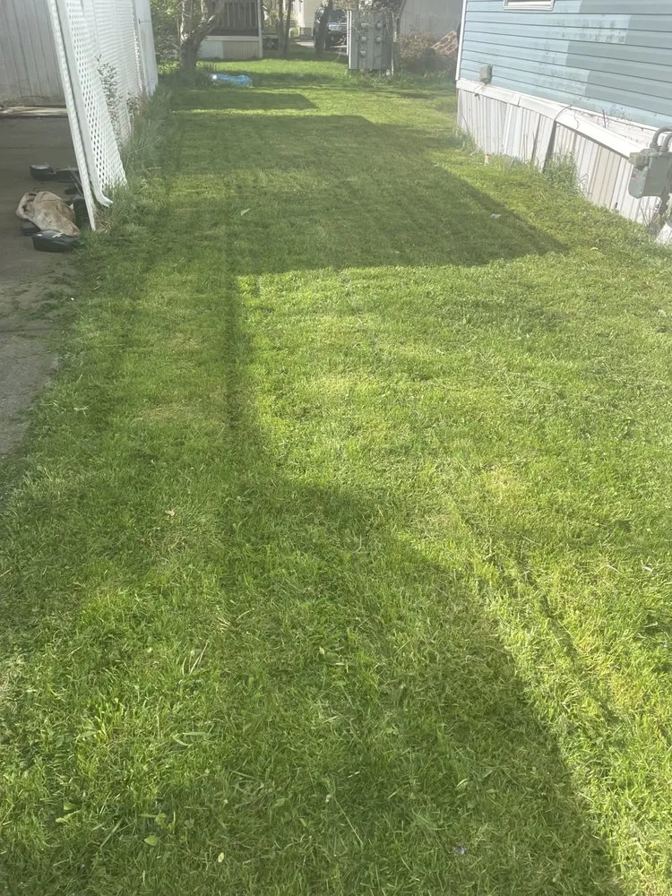 Reliable landscape installation for residential properties across Norwalk, OH - Darion Mow and Landscape Service