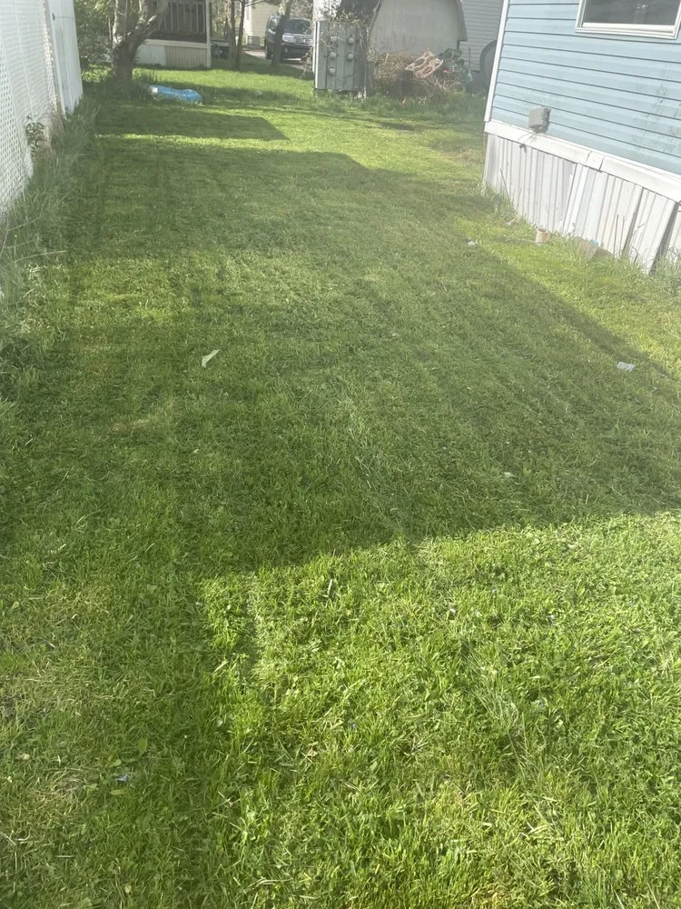 Custom landscaping services experts serving Norwalk, OH - Darion Mow and Landscape Service