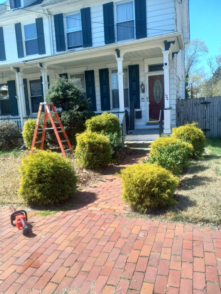 Professional outdoor landscaping for year-round maintenance in trenton, NJ by Darion's Green Team