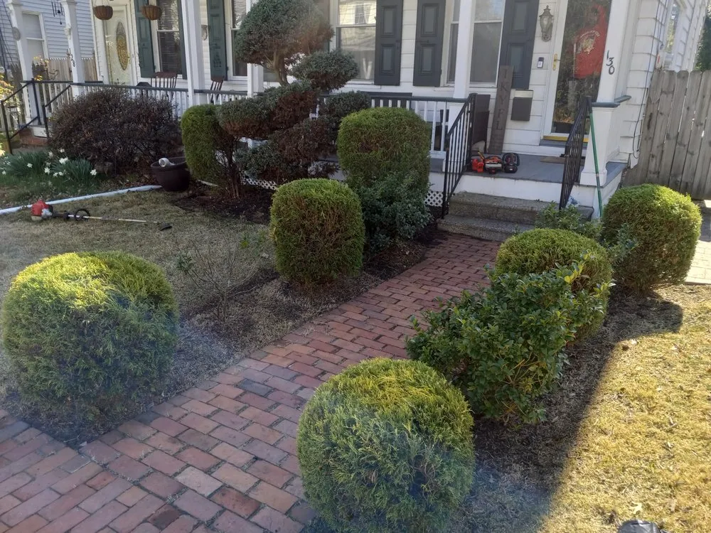 Custom landscaping services experts serving trenton, NJ - Darion's Green Team
