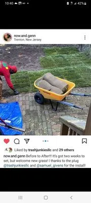 Darion's Green Team Logo