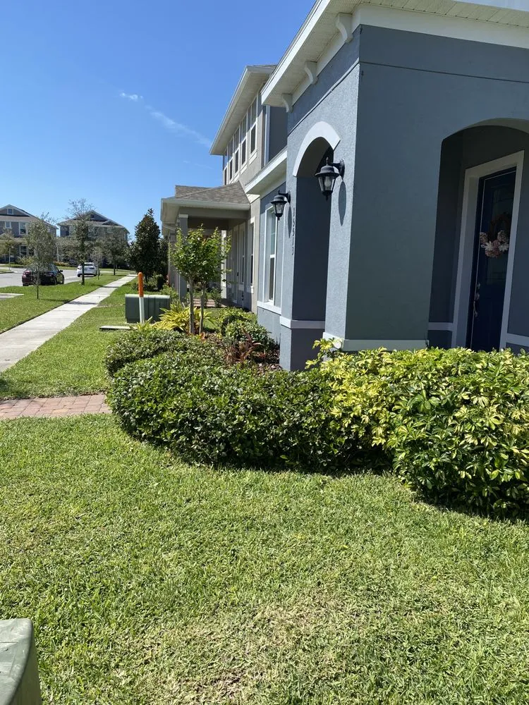 Custom landscape installation for homes in Clermont, FL by Darity Lawn Services