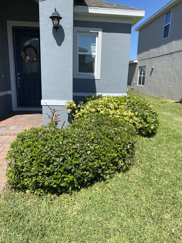 Expert outdoor landscaping near you across Clermont, FL - Darity Lawn Services