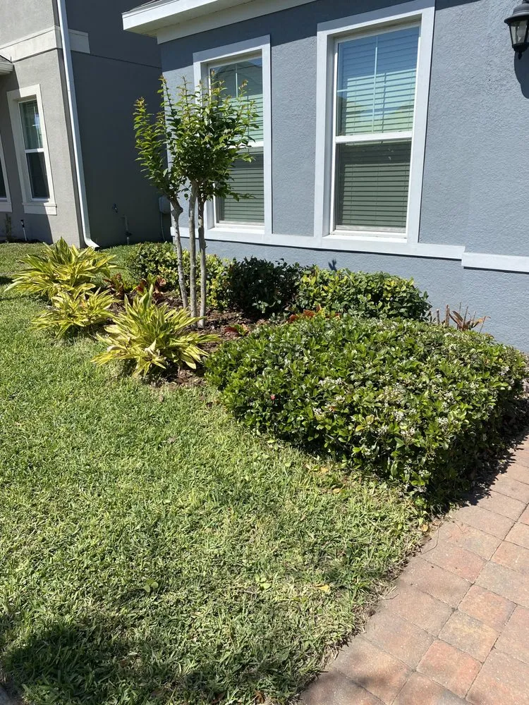 Custom landscape design in Clermont, FL by Darity Lawn Services