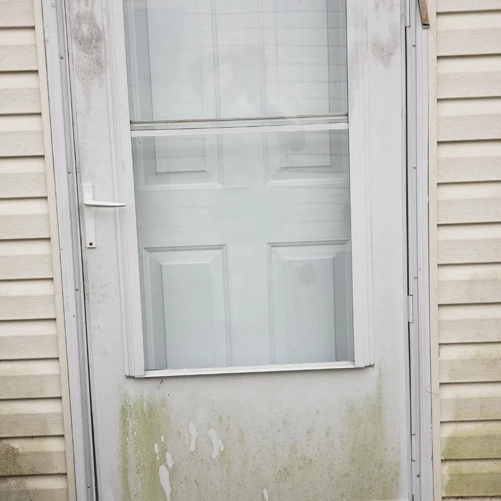 Professional yard maintenance for homes in Wilmington, NC by Darius All Access