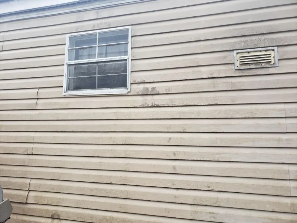 Professional outdoor landscaping for residential properties in Wilmington, NC by Darius All Access