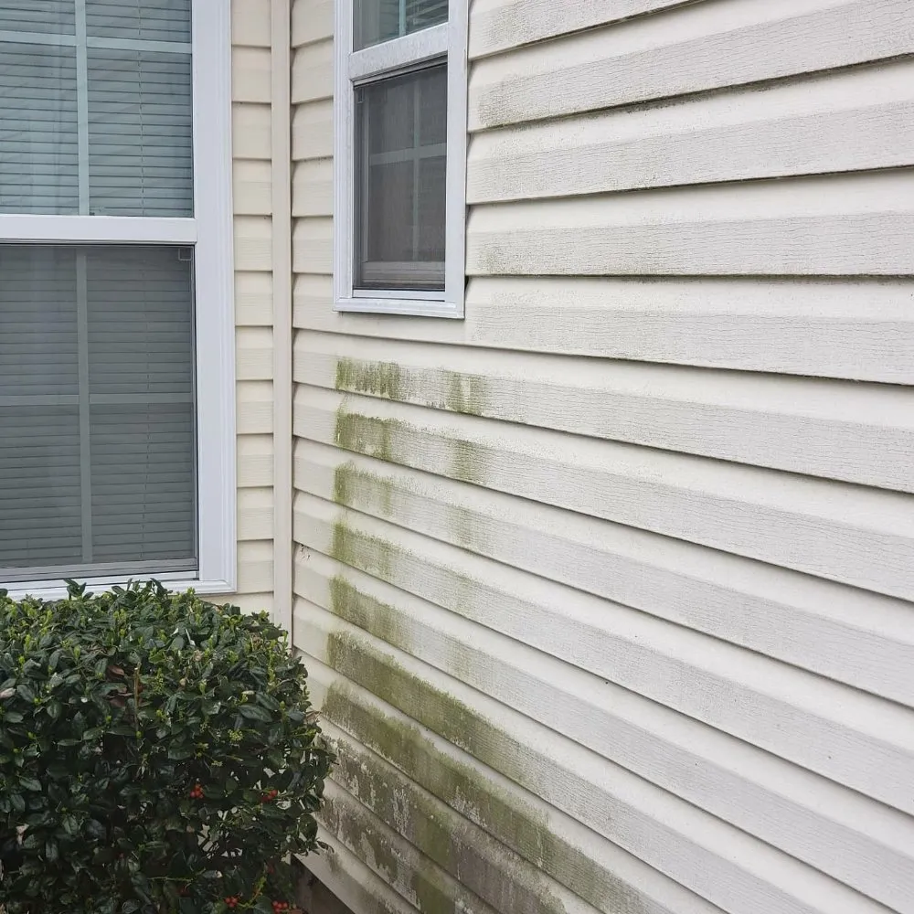 Trusted lawn care service for homes across Wilmington, NC - Darius All Access