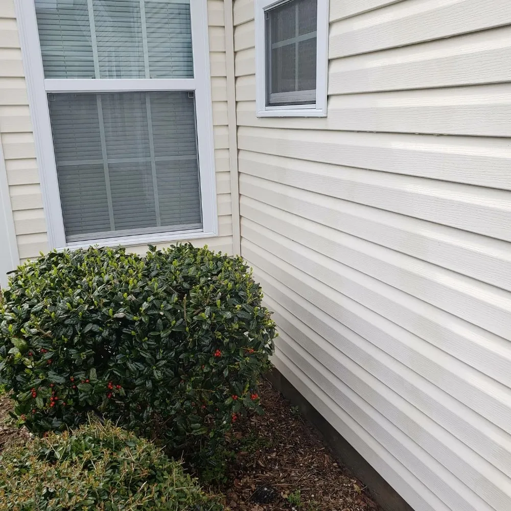 Expert yard cleanup service in Wilmington, NC - Darius All Access