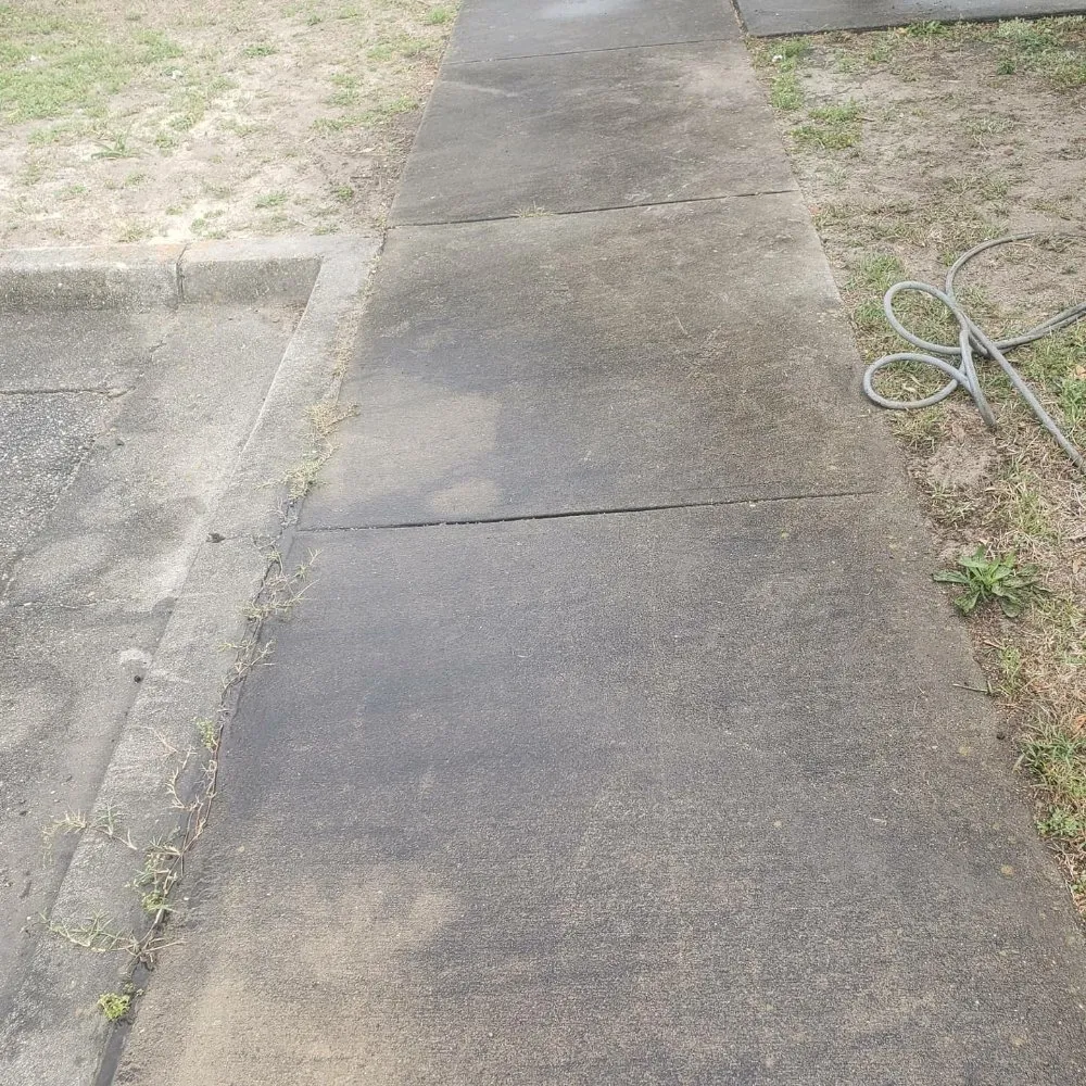 Reliable yard cleanup service in Wilmington, NC by Darius All Access