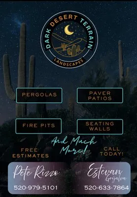 Dark Desert Terrain Logo