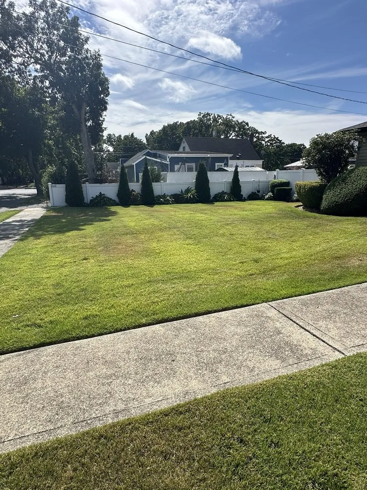 Professional yard maintenance in Bay Shore, NY - Dark Green Landscaping