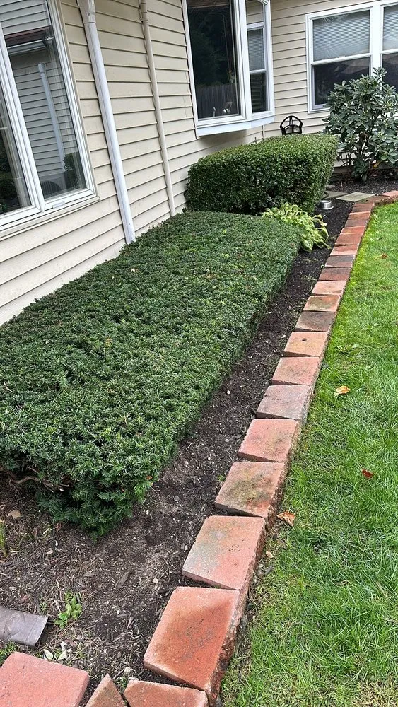 Top-rated outdoor landscaping in Bay Shore, NY - Dark Green Landscaping