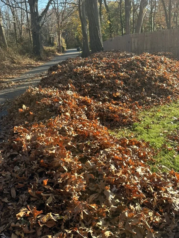 Affordable landscape installation in Bay Shore, NY - Dark Green Landscaping
