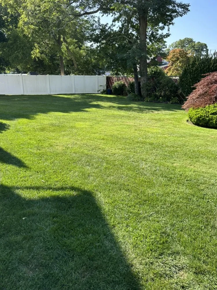 Reliable yard maintenance for residential properties in Bay Shore, NY by Dark Green Landscaping