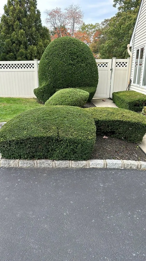 Local yard maintenance in Bay Shore, NY by Dark Green Landscaping