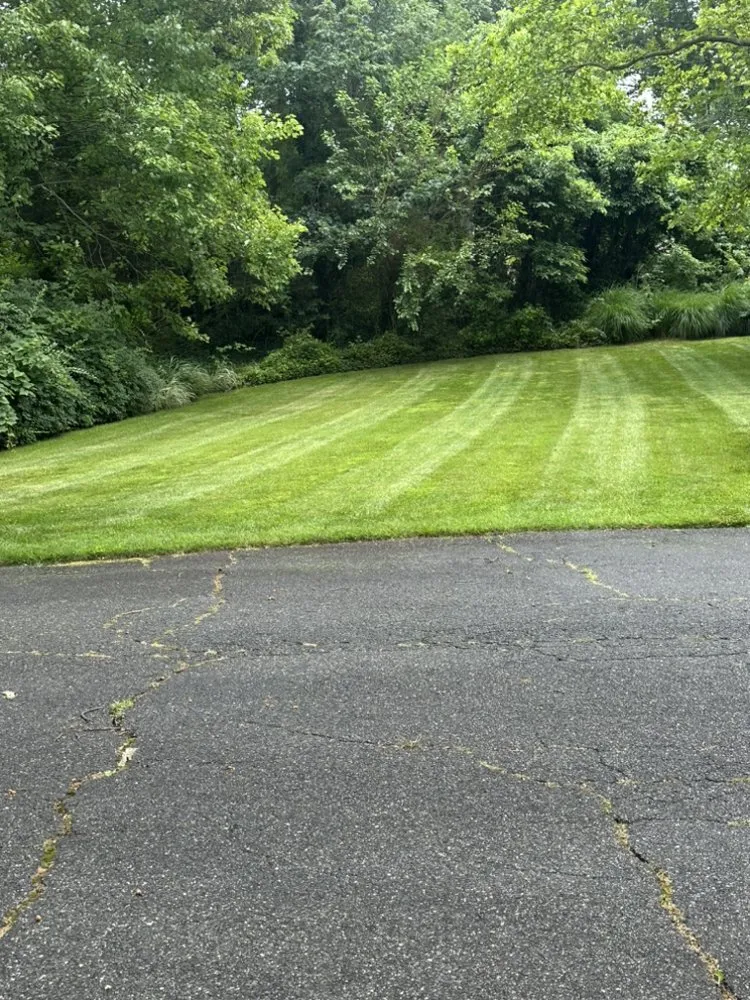 Expert lawn mowing service experts serving Bay Shore, NY - Dark Green Landscaping