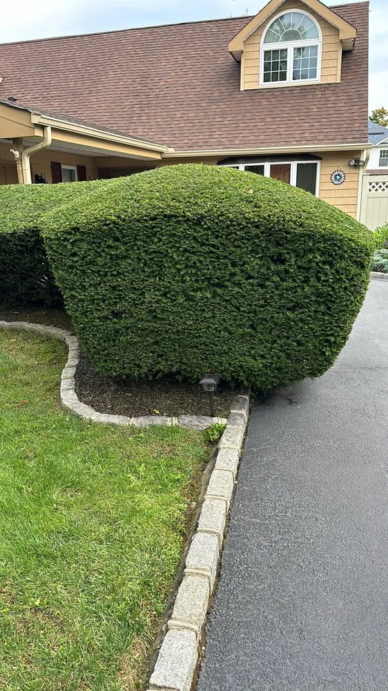 Expert landscape design experts serving Bay Shore, NY - Dark Green Landscaping