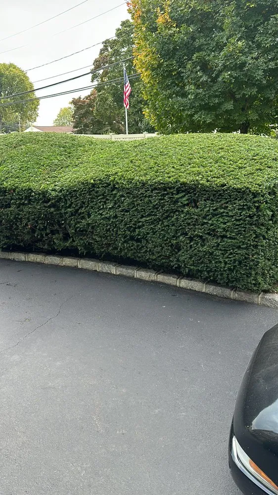 Expert residential landscaping for homes in Bay Shore, NY by Dark Green Landscaping