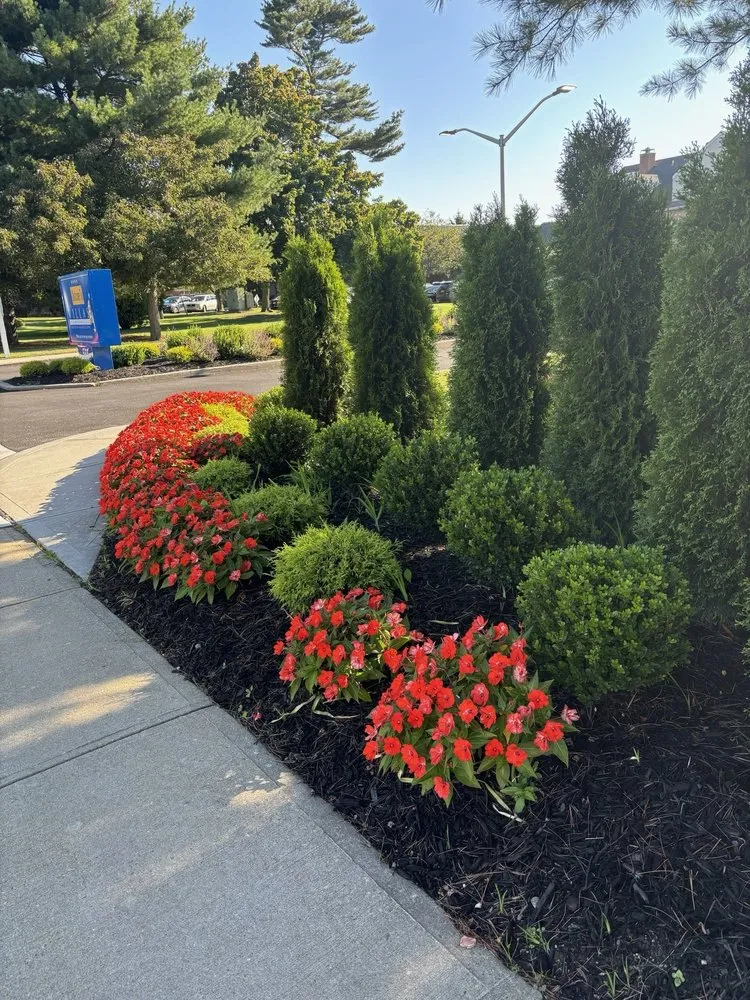 Trusted residential landscaping in Bay Shore, NY - Dark Green Landscaping