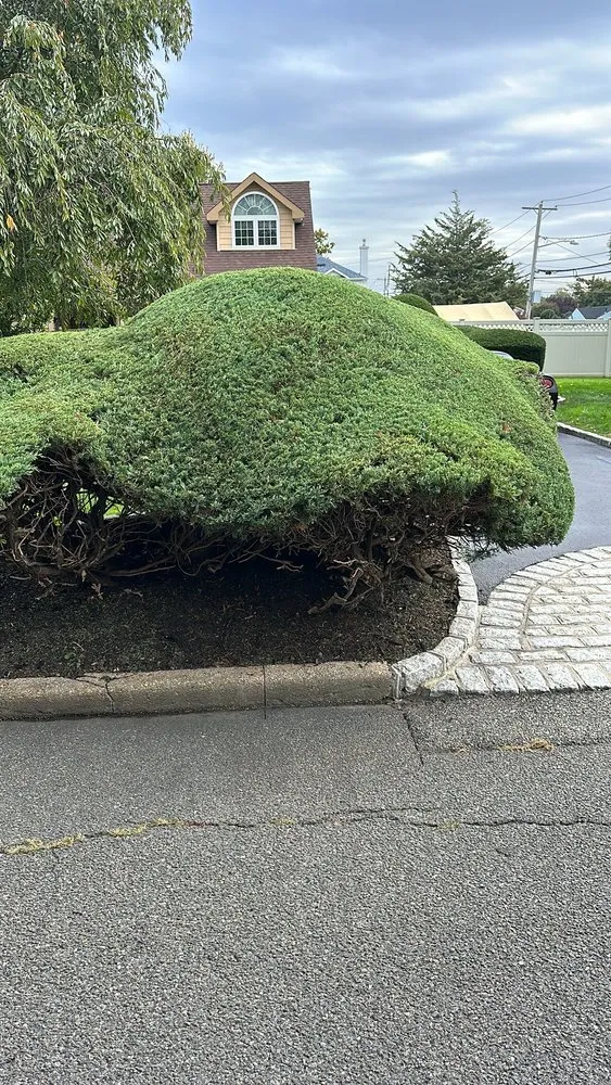 Local garden landscaping experts serving Bay Shore, NY - Dark Green Landscaping