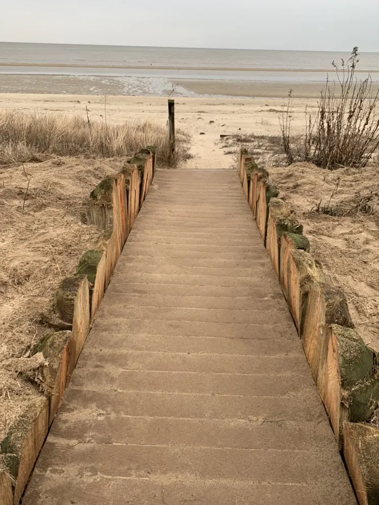 Custom yard maintenance for beautiful yards in Milford, DE by Dark Green Lawn Service