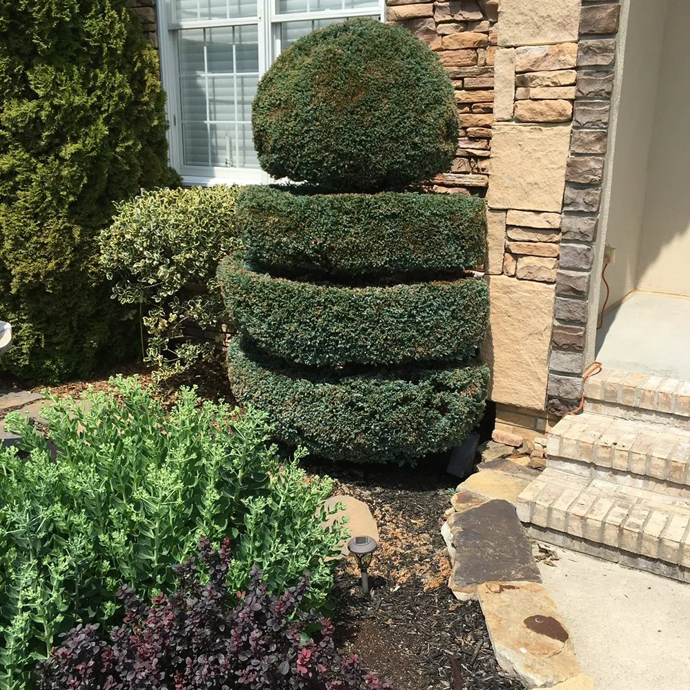 Custom yard cleanup service in Milford, DE - Dark Green Lawn Service