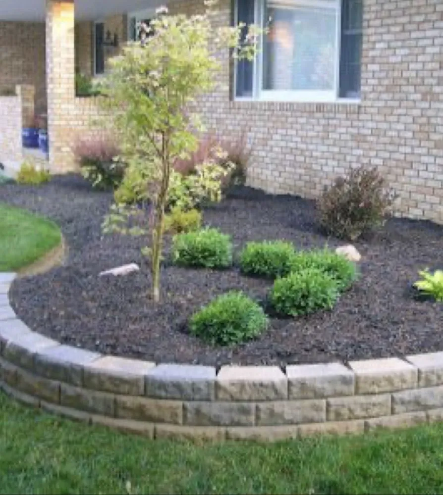 Reliable yard cleanup service experts serving Milford, DE - Dark Green Lawn Service