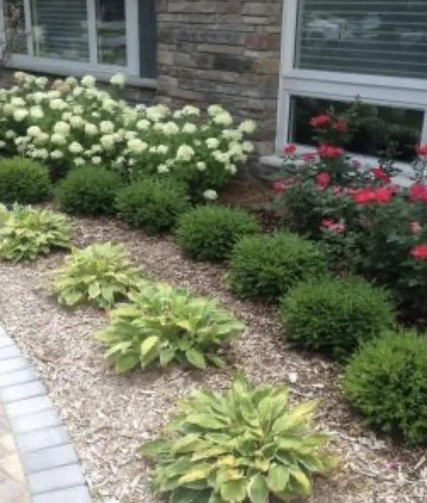 Expert lawn care service for beautiful yards across Milford, DE - Dark Green Lawn Service