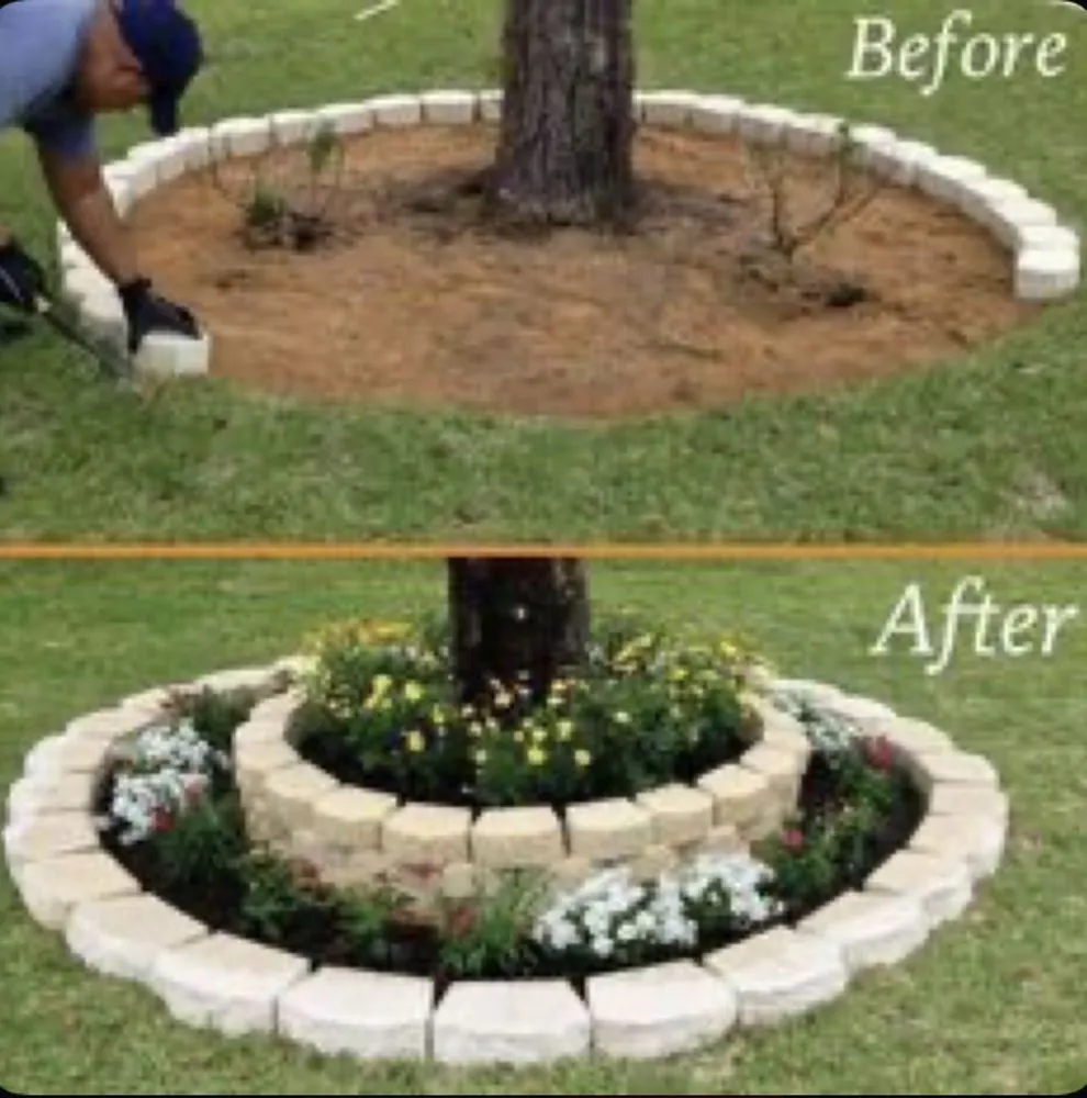 Expert yard maintenance in Milford, DE by Dark Green Lawn Service