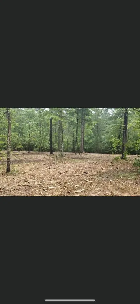 Custom landscape design for year-round maintenance across Anniston, AL - Dark Hollow Forestry Services