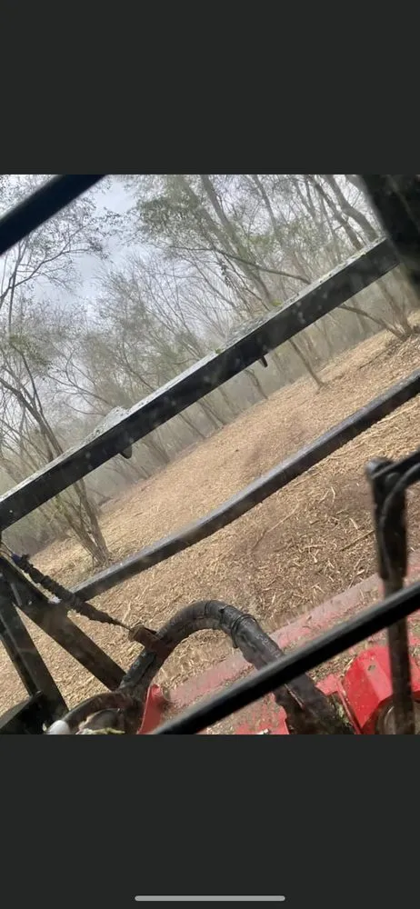 Expert lawn care service for beautiful yards across Anniston, AL - Dark Hollow Forestry Services