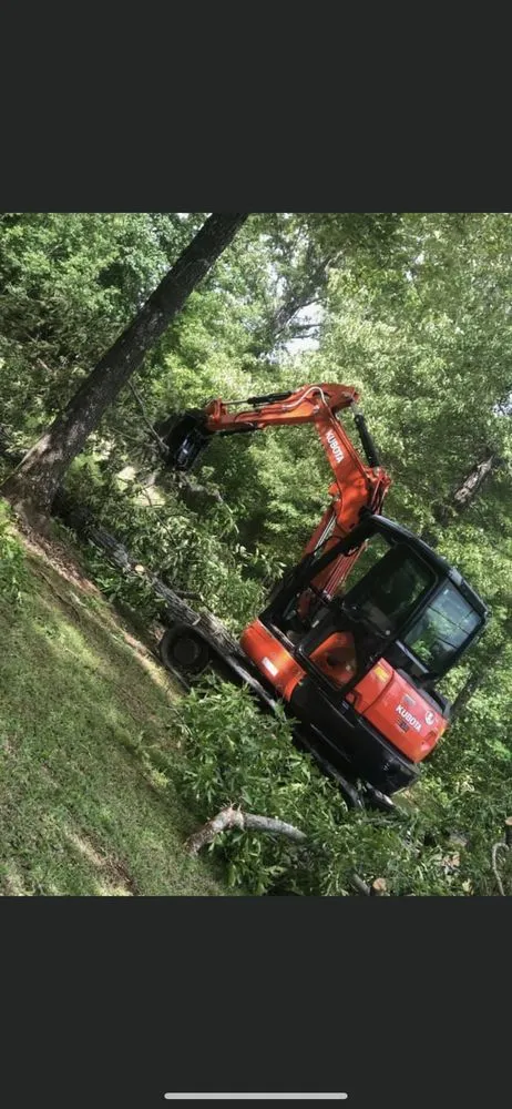 Custom lawn mowing service for year-round maintenance in Anniston, AL by Dark Hollow Forestry Services