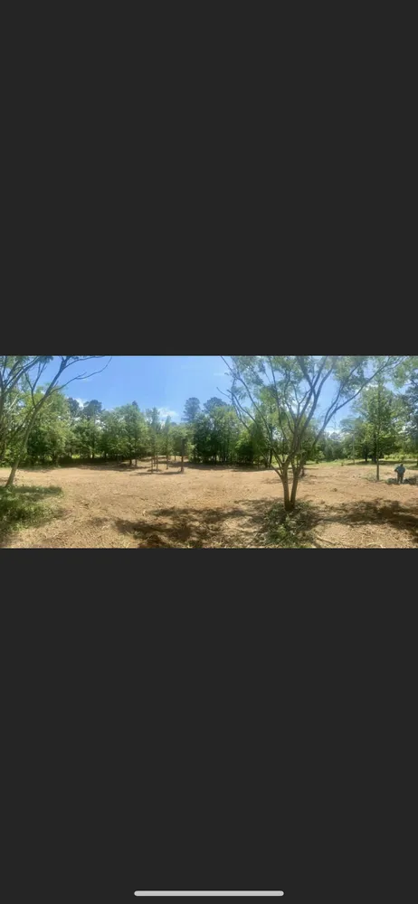 Expert yard cleanup service in Anniston, AL by Dark Hollow Forestry Services