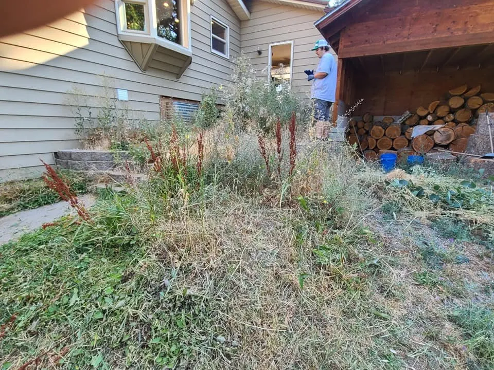 Custom yard cleanup service experts serving Post Falls, ID - Dark Knot Contracting