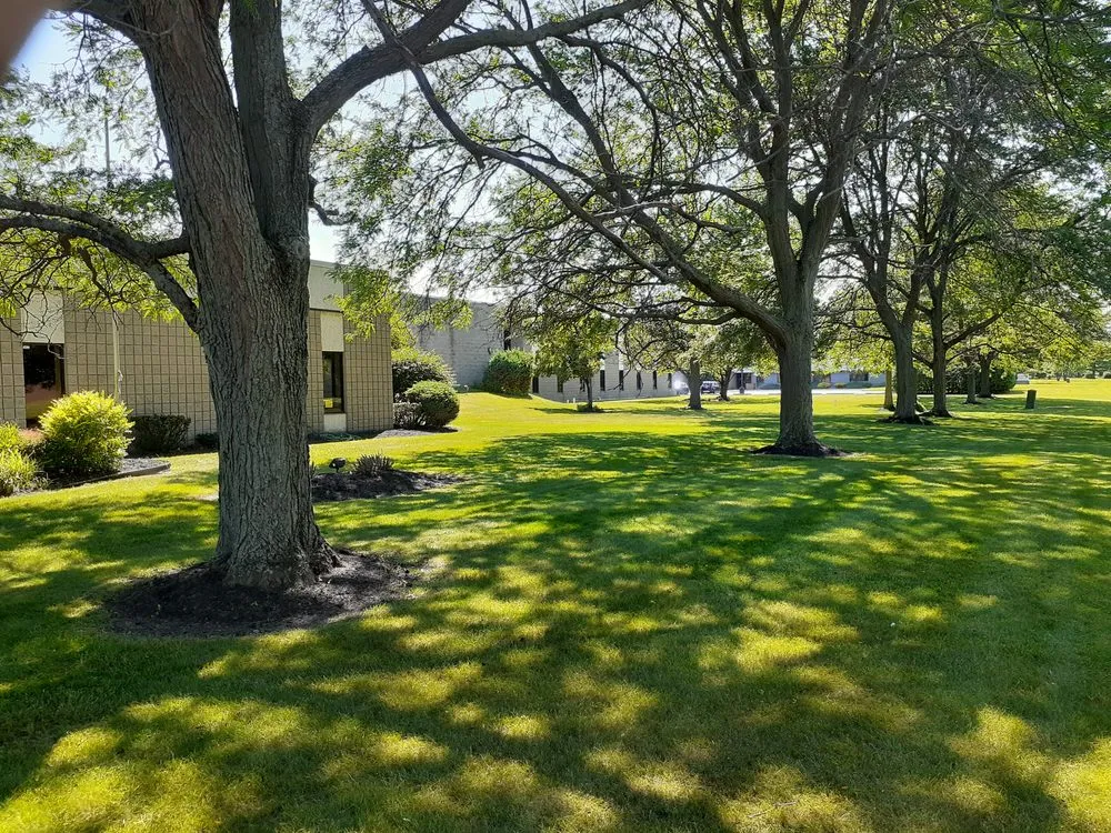 Top-rated lawn care service experts serving Blasdell, NY - Darling Enterprises WNY