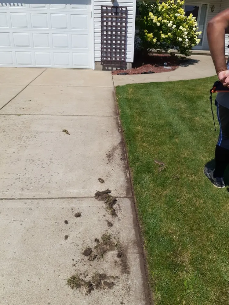 Professional lawn care service in Blasdell, NY - Darling Enterprises WNY