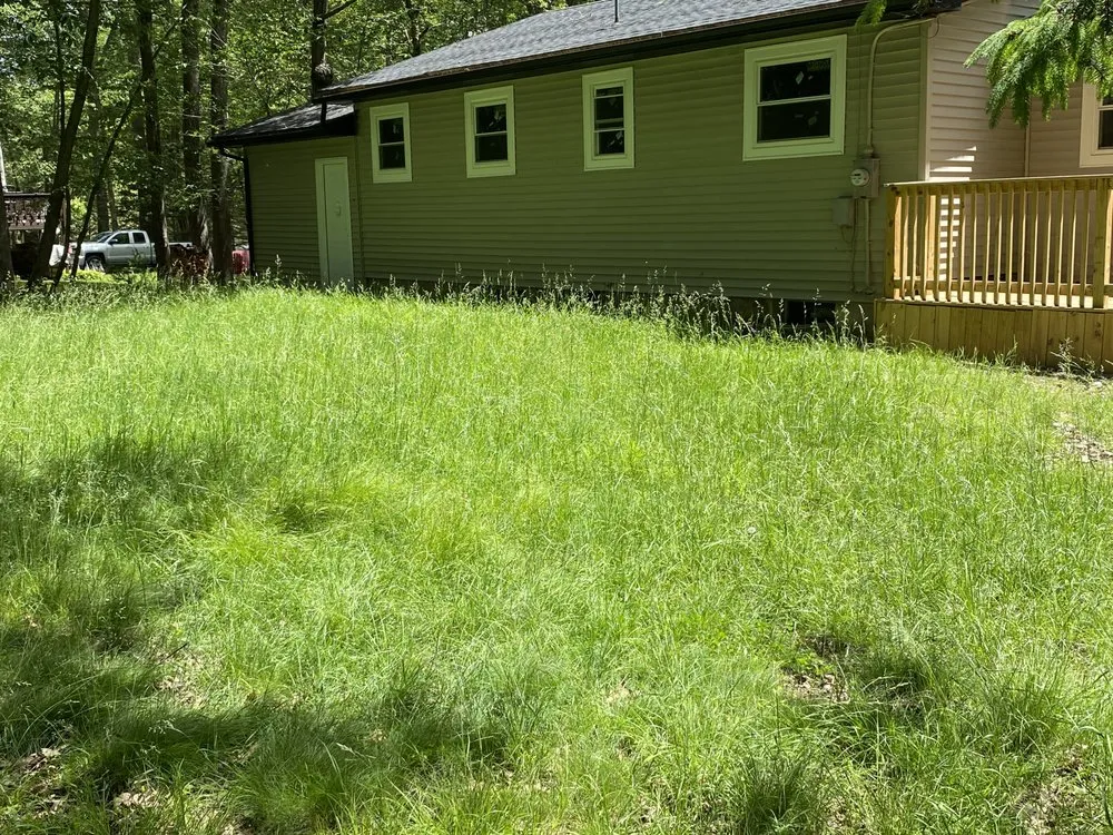 Top-rated landscape design for outdoor upgrades across Clarks Summit, PA - Darlings Lawn Care