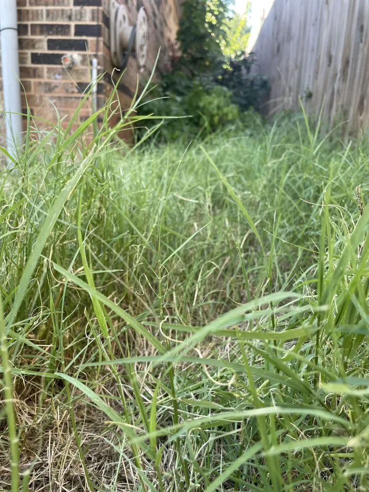 Affordable outdoor landscaping in Oklahoma City, OK - Darlings Outdoor Maintenance