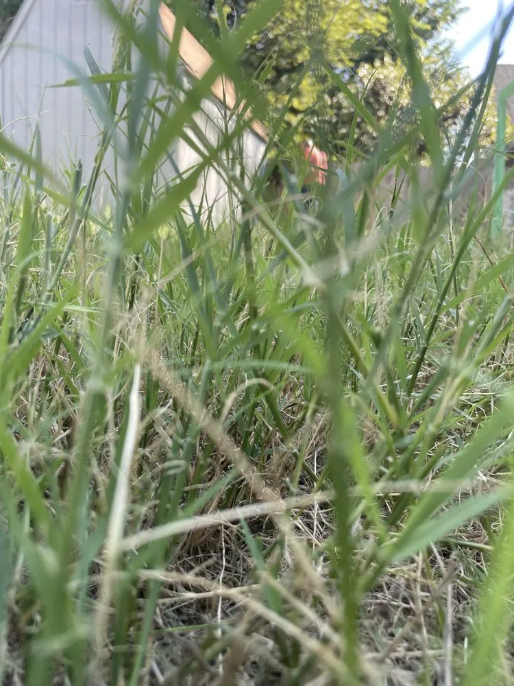 Custom landscape design experts serving Oklahoma City, OK - Darlings Outdoor Maintenance