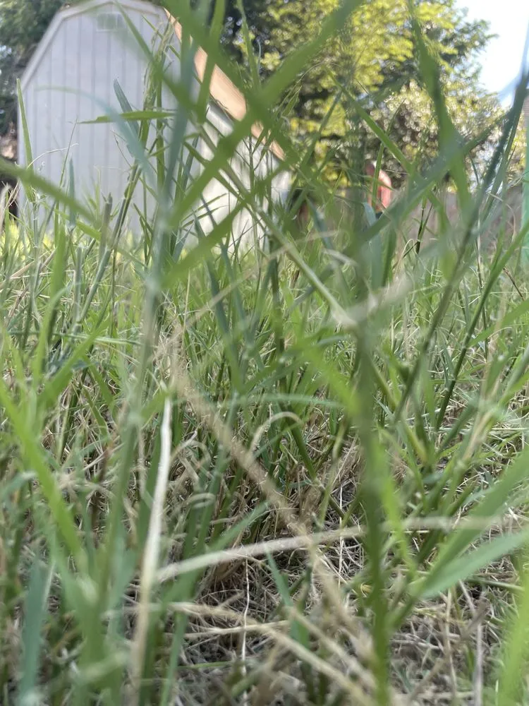 Custom landscape installation in Oklahoma City, OK - Darlings Outdoor Maintenance