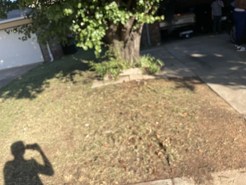 Professional yard cleanup service with custom design across Oklahoma City, OK - Darlings Outdoor Maintenance