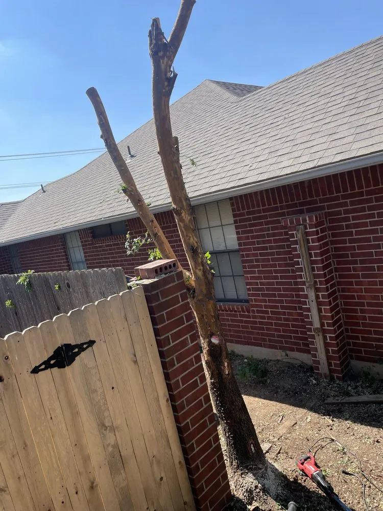 Affordable landscape design for residential properties in Oklahoma City, OK by Darlings Outdoor Maintenance