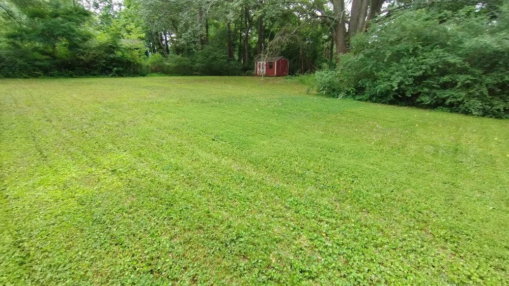 Professional residential landscaping in Mableton, GA by Darnell Davis Affordable Landscaping