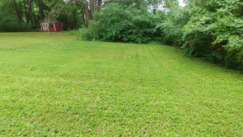 Local lawn care service in Mableton, GA by Darnell Davis Affordable Landscaping