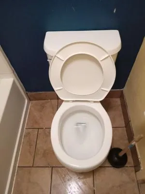 Darnell Davis Affordable Landscaping Logo