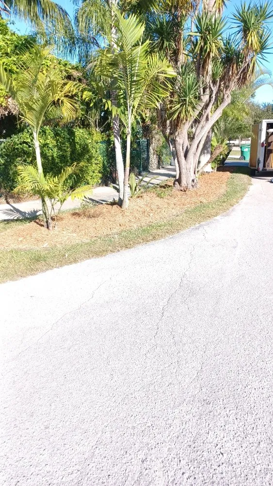 Affordable garden landscaping for homes in Miami, FL by Darnells Lawn Maintenance