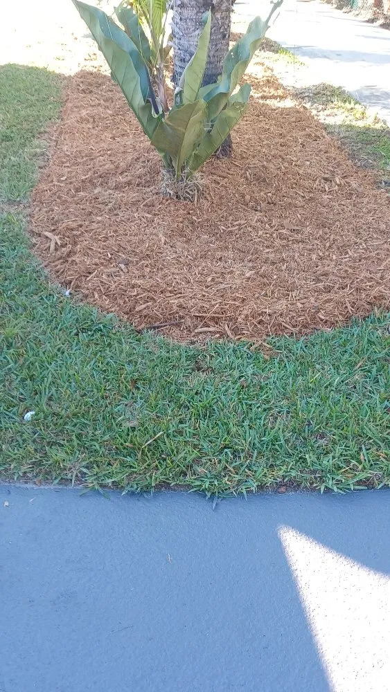 Expert yard cleanup service for homes in Miami, FL by Darnells Lawn Maintenance