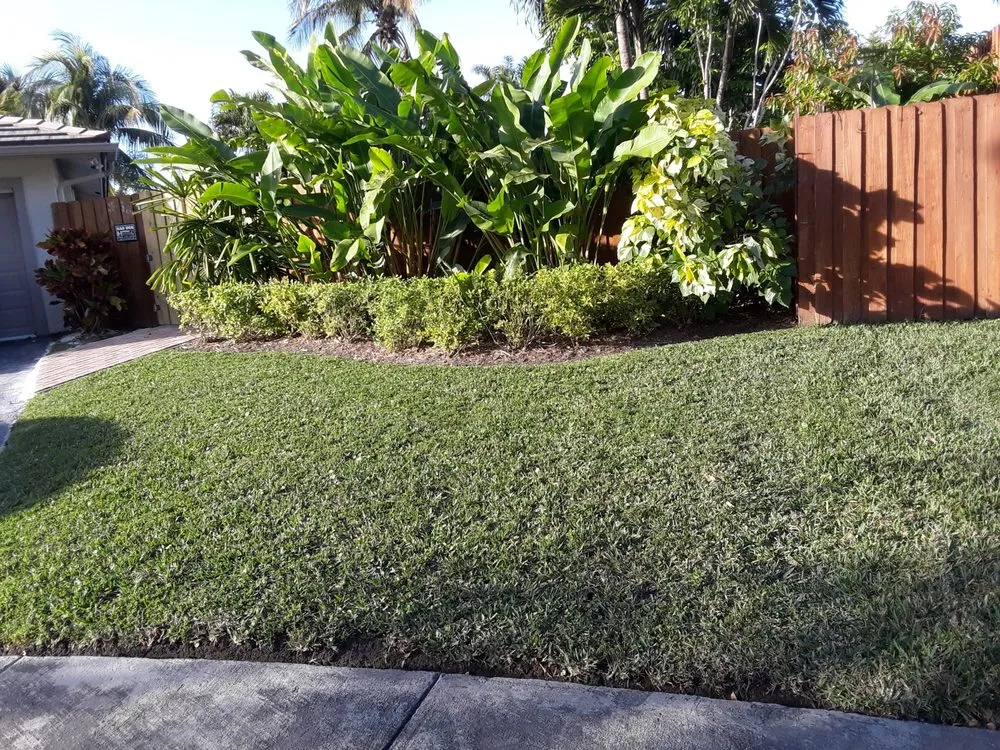 Top-rated lawn care service experts serving Miami, FL - Darnells Lawn Maintenance