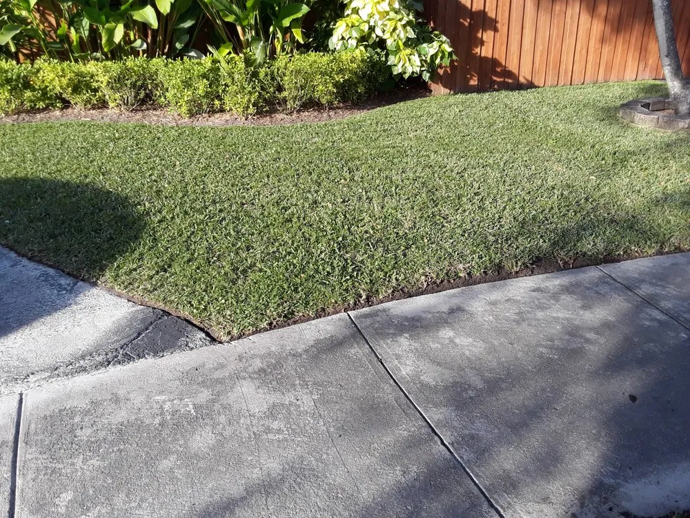 Reliable landscape installation experts serving Miami, FL - Darnells Lawn Maintenance