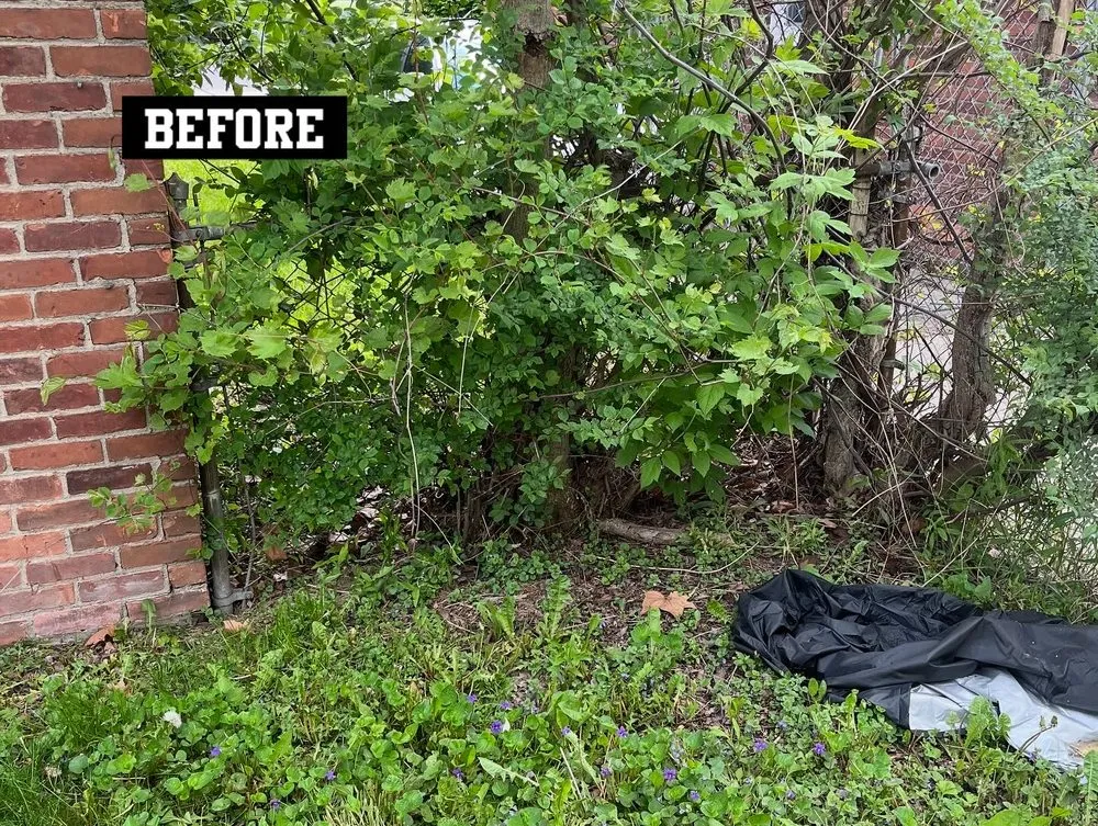 Local lawn mowing service for year-round maintenance across Bloomfield Hills, MI - DARNGOOD Landscaping